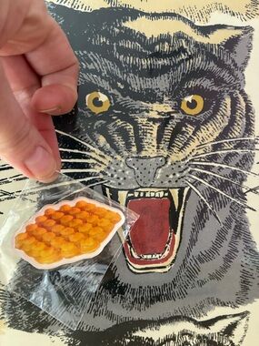 Live Show Givvy Waffle Magnet!